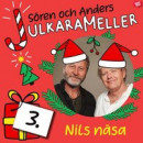 Nils Näsa -- Bok 9789189233911
