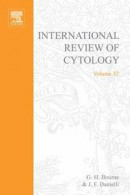 International Review of Cytology -- Bok 9780080585697
