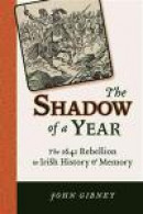 The Shadow of a Year: The 1641 Rebellion in Irish History and Memory (History of Ireland & the Irish -- Bok 9780299289546