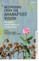 Recovering From The Anabaptist Visi -- Bok 9780567692740