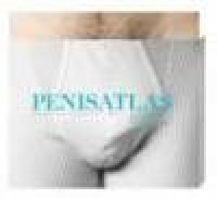 Penisatlas - Esben Esther Pirelli Benestad/ Ragnhild Dahl Keller/ Einar  Aakvåg/ Genevieve Hardeberg/ Geneviève Fo - Hitta bästa pris - Bok  9788280710611