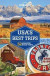 Lonely Planet USA's Best Trips -- Bok 9781787019393