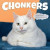 Chonkers Wall Calendar 2024: Irresistible Photos of Snozzy, Chonky Floofers Paired with Relaxation-Themed Quotes -- Bok 9781523519194