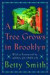 Tree Grows In Brooklyn -- Bok 9780060001940