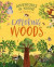 Adventures in Nature: Exploring Woods -- Bok 9781526327413