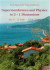 Supermembranes And Physics In 2+1 Dimensions - Trieste Conference -- Bok 9789814611961