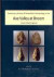 Quaternary History and Palaeolithic Archaeology in the Axe Valley at Broom, South West England -- Bok 9781842175200