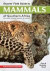 Stuarts' Field Guide to Mammals of Southern Africa -- Bok 9781775841111