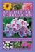 Annuals for Your Garden -- Bok 9780754827160