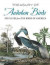 Treasury of Audubon Birds -- Bok 9780486841793