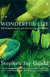 Wonderful Life -- Bok 9780099273455