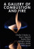 Gallery of Combustion and Fire -- Bok 9781316997079