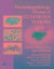 Dermatopathology Primer of Cutaneous Tumors -- Bok 9781498703918