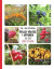 Ätliga växter i naturen vid den röda stugan -- Bok 9789178858484