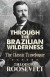 Through the Brazilian Wilderness -- Bok 9780486813684