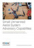 Small Unmanned Aerial System Adversary Capabilities -- Bok 9781977402585