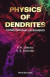 Physics Of Dendrites: Computational Experiments -- Bok 9789814501248