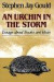 An Urchin in the Storm -- Bok 9780393305371