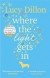 Where The Light Gets In -- Bok 9781784162092
