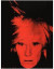 Andy Warhol -- Bok 9780847869251
