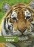 Minifakta om tigrar -- Bok 9789175679907