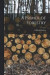 A Primer of Forestry -- Bok 9781015862593