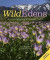 Wild Edens -- Bok 9781914239250