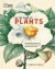 In the Name of Plants -- Bok 9780565095352