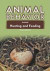 Animal Hunting and Feeding -- Bok 9781604131437