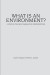 What Is an Environment?: A Study in the New Comparative Interpretation -- Bok 9781610430272