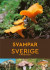 Svampar i Sverige & Nordeuropa -- Bok 9789180372275