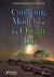 Conflicting Models for the Origin of Life -- Bok 9781119555544