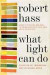What Light Can Do -- Bok 9780061923913