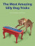 Most Amazing Silly Dog Tricks -- Bok 9781627881166