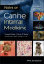 Notes on Canine Internal Medicine -- Bok 9781119744795