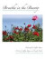 Breathe in the Beauty: A Contemplative Photography Journey -- Bok 9781491058763