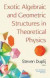 Exotic Algebraic and Geometric Structures in Theoretical Physics -- Bok 9781536144475