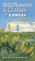 Wildflowers and Grasses of Kansas -- Bok 9780700635962