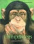 Chimpanzees -- Bok 9780761415794