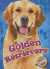 Golden Retrievers Golden Retrievers -- Bok 9781626172418
