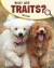 What Are Traits? -- Bok 9781398225411