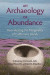 An Archaeology of Abundance -- Bok 9780813056166