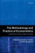 The Methodology and Practice of Econometrics -- Bok 9780198743781