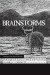 Brainstorms -- Bok 9780262534383