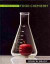 Introductory Food Chemistry -- Bok 9780801450754