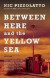 Between Here and the Yellow Sea -- Bok 9781941531822