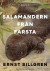 Salamandern från Farsta -- Bok 9789188439734