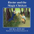 Hector and the Magic Chicken -- Bok 9780615948843