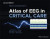 Hirsch and Brenner's Atlas of EEG in Critical Care -- Bok 9781118752876