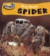 Take Off: Bug Books Spider Hardback -- Bok 9780431016580